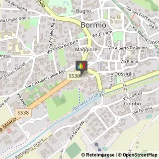 Commercialisti Bormio,23032Sondrio