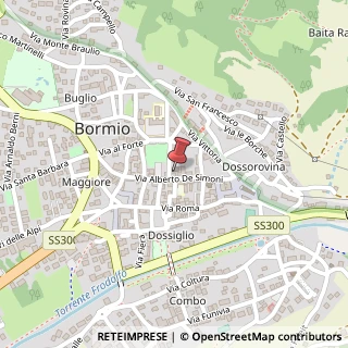 Mappa Via Nesini, 2, 23032 Bormio, Sondrio (Lombardia)