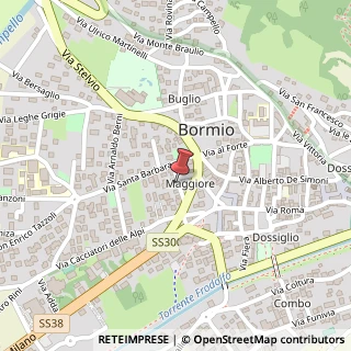 Mappa Via Maurizio Quadrio, 9, 23032 Bormio, Sondrio (Lombardia)