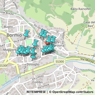 Mappa Via Ripa Belvedere, 23032 Bormio SO, Italia (0.171)