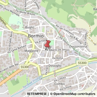 Mappa Via Alberto de Simoni, 29, 23032 Bormio, Sondrio (Lombardia)