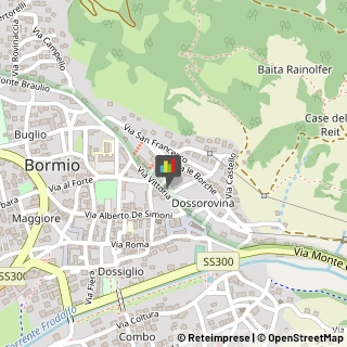 Locali, Birrerie e Pub Bormio,23032Sondrio