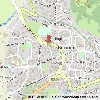 Mappa Via Stelvio, 19, 23032 Bormio, Sondrio (Lombardia)