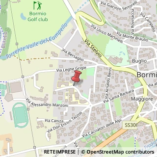Mappa Via Generale Luigi Reverberi, 11, 23032 Bormio SO, Italia, 23032 Bormio, Sondrio (Lombardia)