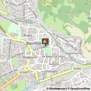 Articoli per Ortopedia,23032Sondrio