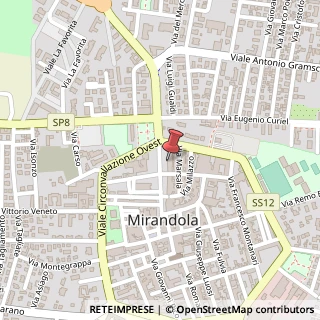 Mappa Piazza della Costituente, 49, 41037 Mirandola, Modena (Emilia Romagna)