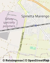 Str. Gaglierasco, 6,15057Tortona