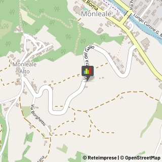 Miele Alessandria,15059Alessandria