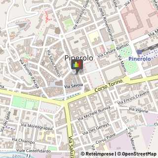 Consulenze Speciali Pinerolo,10064Torino