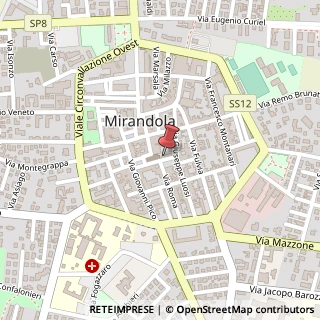Mappa Via Don Giovanni Minzoni, 3, 41037 Mirandola, Modena (Emilia Romagna)