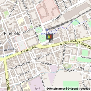 Chiropratica,10064Torino