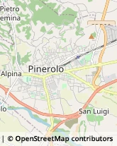 Aziende Agricole Pinerolo,10064Torino