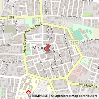 Mappa Via Curtatone,  31, 41037 Mirandola, Modena (Emilia Romagna)