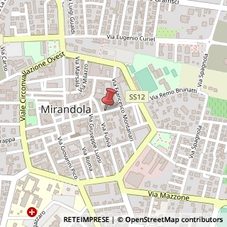 Mappa Via castelfidardo 16, 41037 Mirandola, Modena (Emilia Romagna)