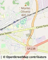 Autotrasporti Pinerolo,10064Torino