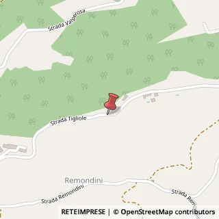 Mappa Strada Tigliole, 37, 14016 Tigliole, Asti (Piemonte)