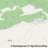 Mapa Tigliole