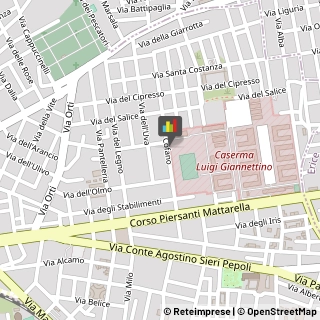 Ingegneri,91100Trapani