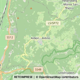 Mappa Aldino