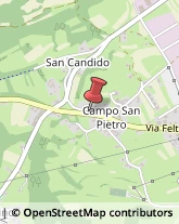 Via Campo S. Pietro, 65,32026Mel