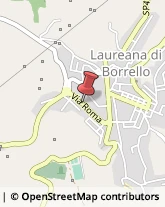 Via Roma, 40,89023Laureana di Borrello