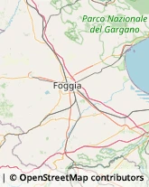 Agenzie Immobiliari Foggia,71122Foggia