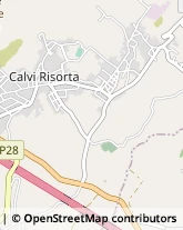 Laboratori di Analisi Cliniche Calvi Risorta,81042Caserta