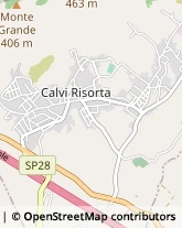 Aziende Agricole Calvi Risorta,81042Caserta