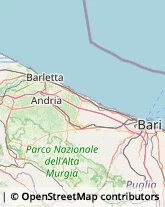 Consulenza di Direzione ed Organizzazione Aziendale Barletta,70051Barletta-Andria-Trani