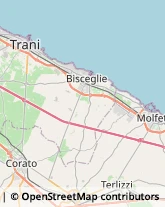 Consulenza di Direzione ed Organizzazione Aziendale Trani,70059Barletta-Andria-Trani