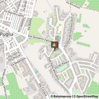 Piercing e Tatuaggi,76012Barletta-Andria-Trani