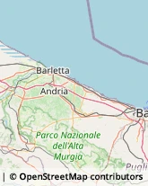 Imballaggi in Legno San Ferdinando di Puglia,76017Barletta-Andria-Trani