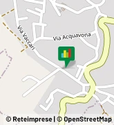 Via Vaccari, 29,88050Petronà