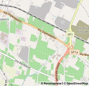 Mappa Alzaia, 37026 Pescantina VR, Italia (0.29231)