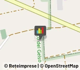 Animali Domestici - Centri Allevamento e Addestramento,20010Milano