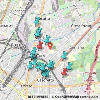 Mappa Ospedale San Raffaele, 20127 Milano MI, Italia (0.967)