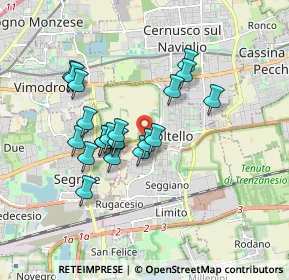 Mappa SP Cassanese, 20096 Pioltello MI (1.512)