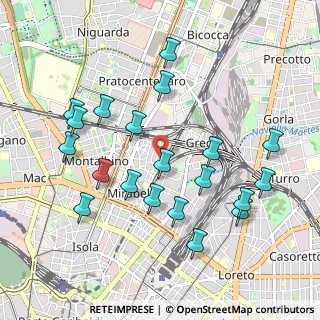 Mappa Via R. Birolli, 20125 Milano MI, Italia (1.025)