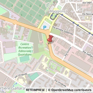 Mappa Via Luigi Rizzo, 8, 20151 Milano, Milano (Lombardia)