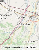 Consulenza Informatica Collecchio,43044Parma