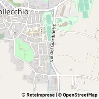 Peta Collecchio