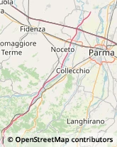 Veterinaria - Ambulatori e Laboratori Calestano,43030Parma