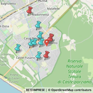 Mappa Via Giovanni Bottesini, 00124 Roma RM, Italia (1.53091)
