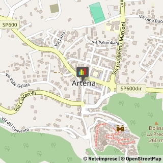 Amministrazioni Immobiliari Artena,00031Roma