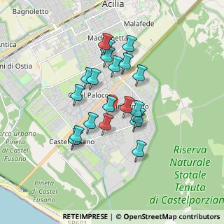 Mappa Via Pietro Castrucci, 00124 Roma RM, Italia (1.523)