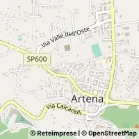 Kort Artena
