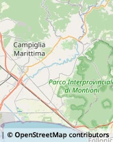 Autofficine e Centri Assistenza Campiglia Marittima,57021Livorno