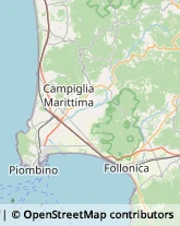 Autofficine e Centri Assistenza Campiglia Marittima,57021Livorno