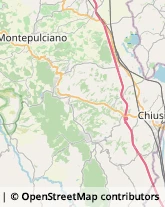 Istituti di Bellezza Chiusi,53043Siena