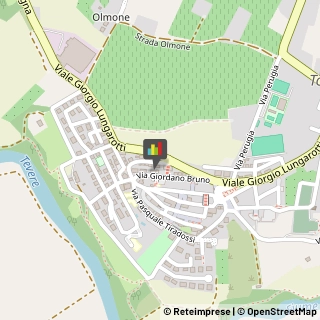 Commercialisti Torgiano,06089Perugia